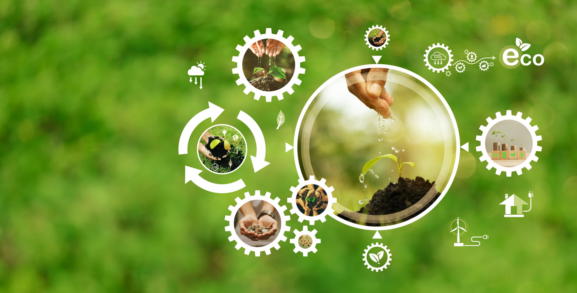 objetivos de negocios verdes de energía ambiental sostenible