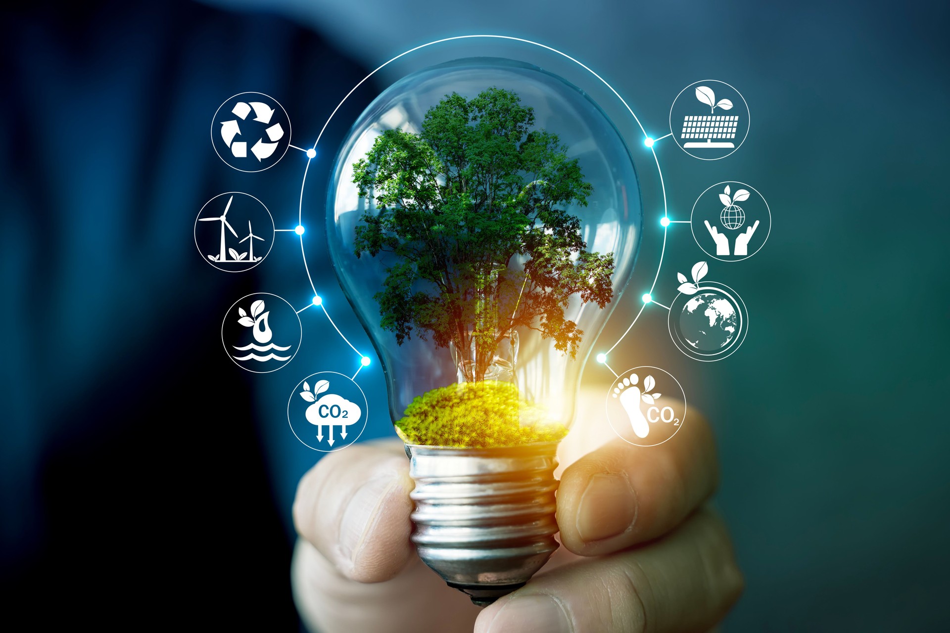 Concepto de innovación energética sostenible con árbol verde dentro de la bombilla que simboliza la idea de futuro ecológico