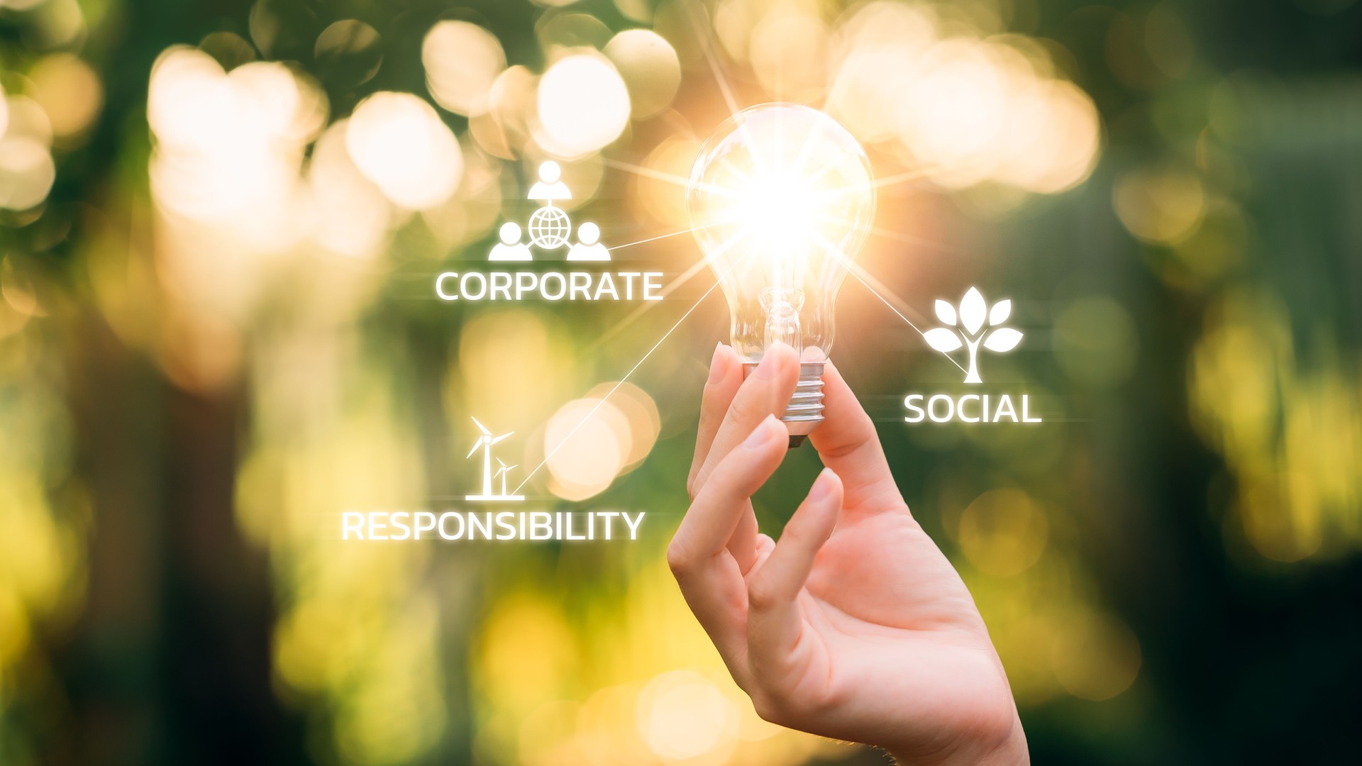 bombilla con RSC Responsabilidad Social Corporativa, RSC y Sostenibilidad Oficina Responsable